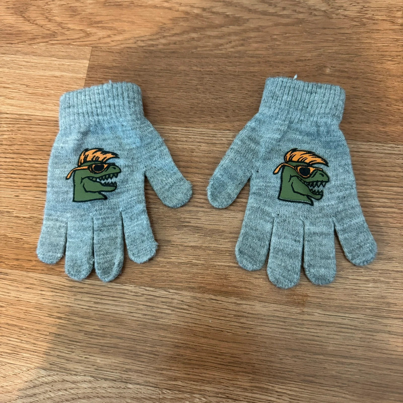 Gray Dinosaur Gloves 1