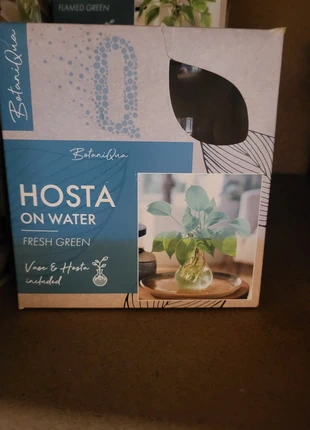 Kit Botaniqua Hosta On Water, condition: New with tags, €5.00, €5.95 includes Buyer Protection