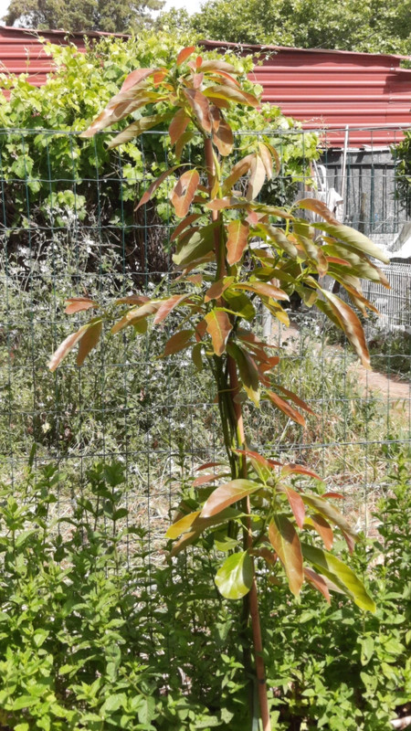 Φωτογραφία προφίλ του χρήστη ivonecf