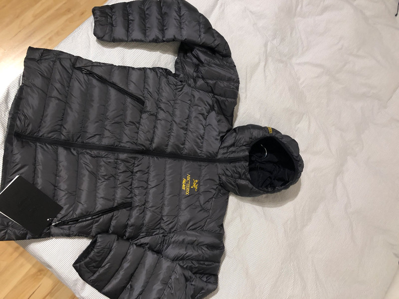 Arcteryx x Palace Cerium LT Hoodie Vinted