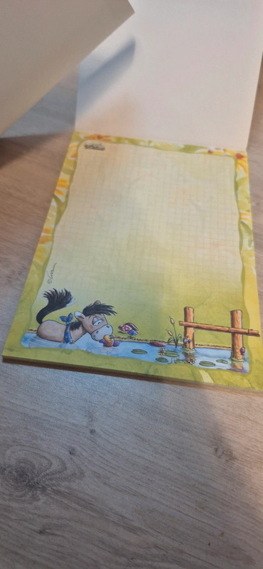 Carnet de feuilles diddl - photo numéro 4