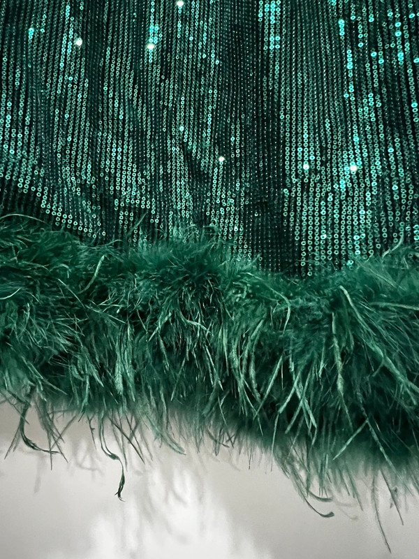 Sequin Feather Trim Long Sleeve Bodycon Mini Dress 2