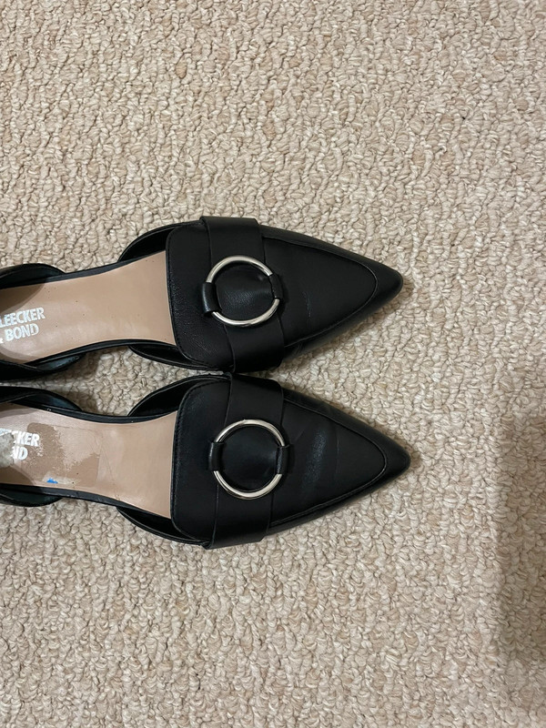 Pointed Toe Flats 1