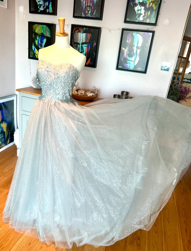 Mascara Silver sparkle tulle prom gown Size 14 5