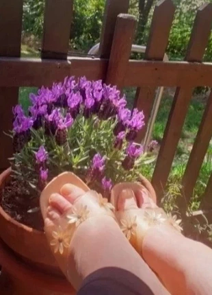 Ciabatte in legno Margherita, merk: Almo, staat: Heel goed, maat: 38, € 10,00, € 11,20 inclusief Kopersbescherming