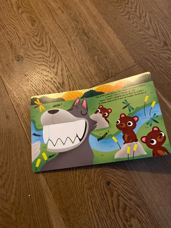 Livre - photo numéro 4