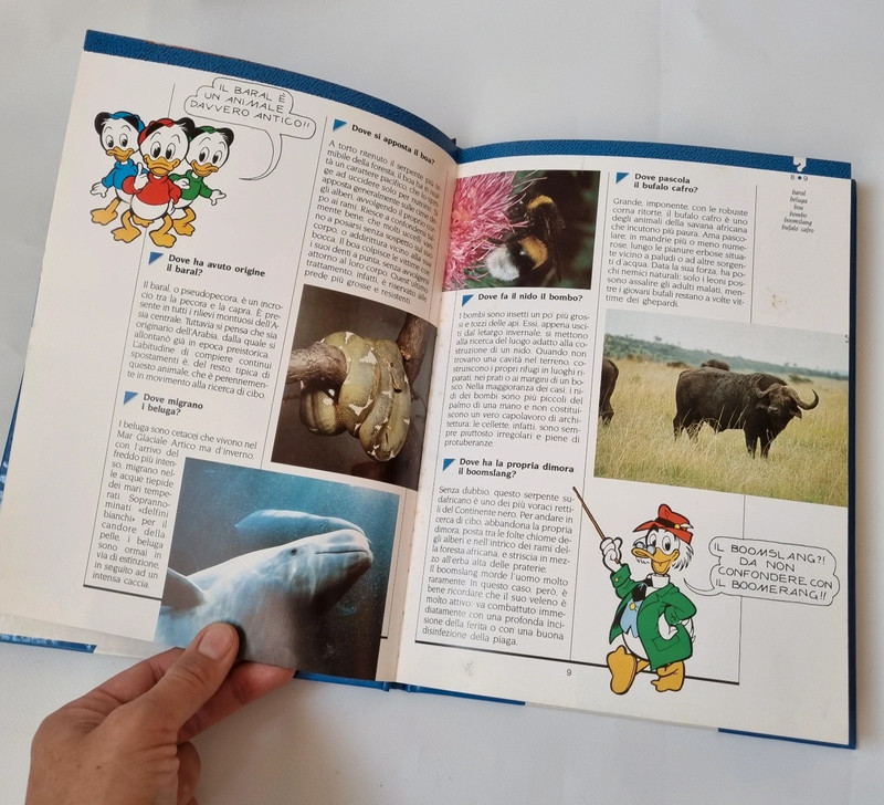 Il Grande Libro degli Animali in Via d'Estinzione — Libro di