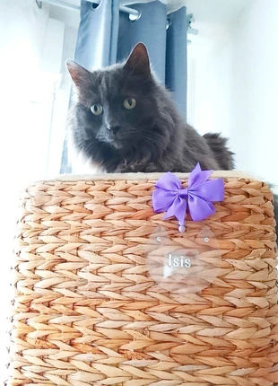 Deco panier, condition: Like new, €5.00, €5.95 includes Buyer Protection