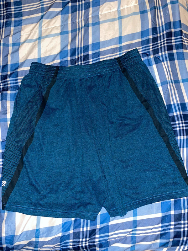 Champion Shorts 2