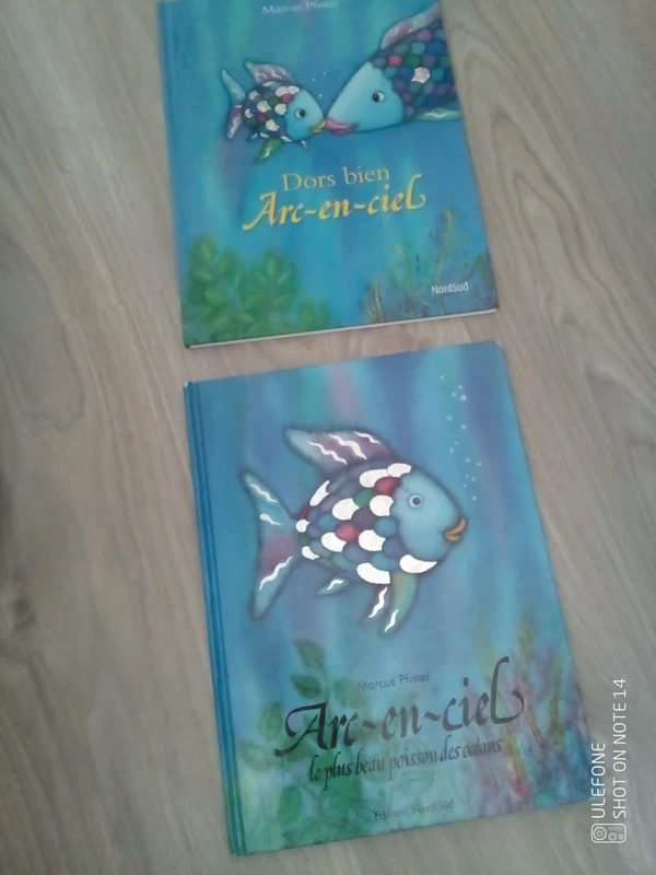 Lot de 2 livres arc en ciel