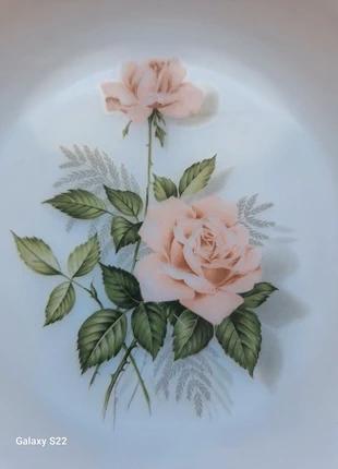 Deux assiettes Arcopal, marca: Arcopal, estado: Bueno, 4,00 €, 4,90 € Protección al comprador incluida