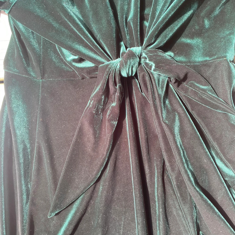 Long Green Velvet Dress 4