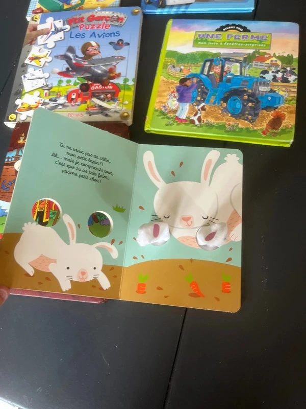 Lot livre premier age enfant noel - photo numéro 4