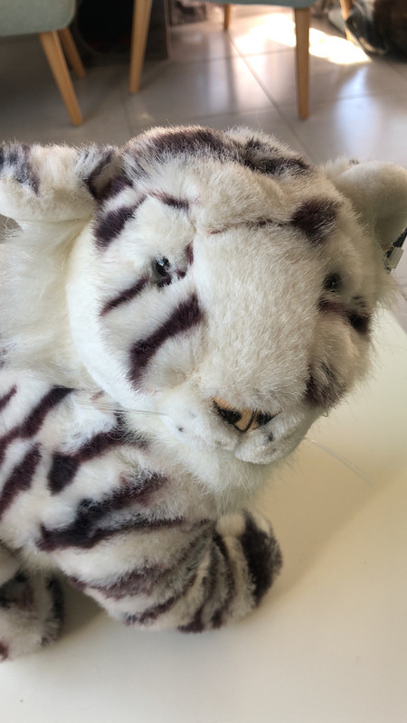 Peluche tigre blanc Uranium