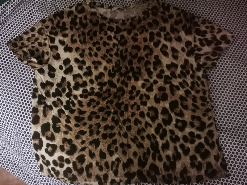 Zara leopard print t shirt