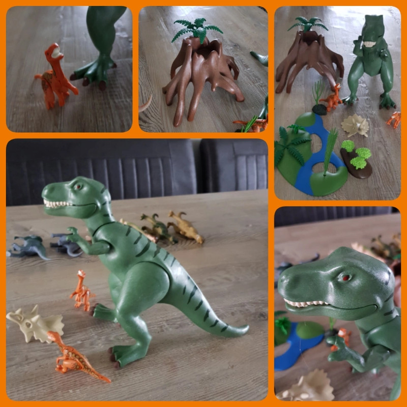 Playmobil 2024 dinosaur set