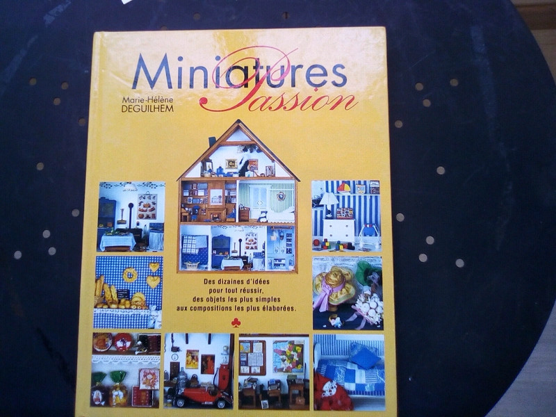 Livre miniatures passion - Vinted