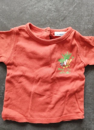 Polo manches longues, marke: P'tit Bisou, zustand: Gut, größe: Bis zu 1 Monat / 50, 1,00 €, 1,75 € inklusive Vinted-Käuferschutz
