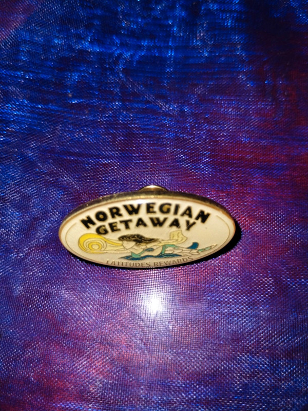 Beautiful Norwegian getaway lapel pin 2