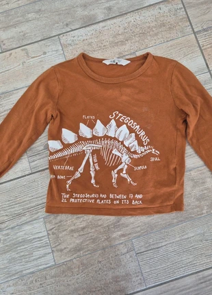 Longsleeve met dino 98/104, brand: H&M, condition: Very good, size: 3 years / 98 cm, €2.50, €3.33 includes Buyer Protection