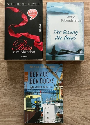 Fantasy & Mystery – Magische und geheimnisvolle Welten, staat: Goed, € 3,00, € 3,85 inclusief Kopersbescherming