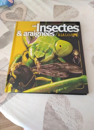 Livre sur les insectes et araignées, staat: Goed, € 4,00, € 4,90 inclusief Kopersbescherming