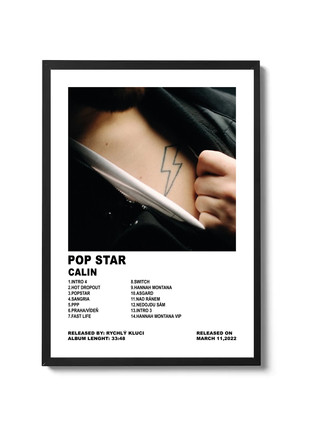 Obrázek k inzerátu: Calin , Pop star poster