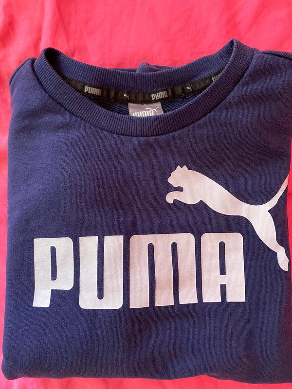 Pull 2024 puma bleu