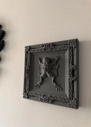 Dissected Frog Frame, brand: Eternal Scream, condizioni: Nuovo senza cartellino, €10.90, €12.15 include la Protezione acquisti Pro