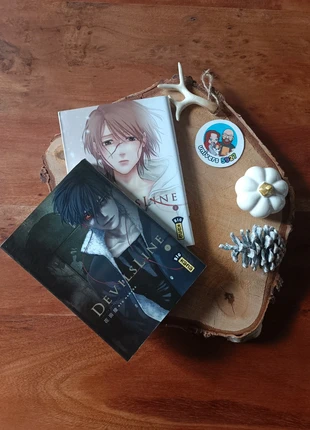 Devil's Line - Tome 1 et 2, zustand: Sehr gut, 7,50 €, 8,58 € beinhaltet Vinted-Käuferschutz Pro