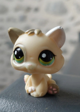 Pet shop chaton, marque: Littlest Pet Shop, état: Satisfaisant, taille: Taille unique, 1,50 €, 2,28 € Protection acheteurs incluse