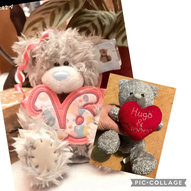 Carte blanche teddy sales