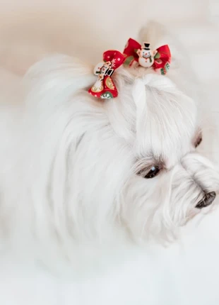 8 Fiocchetti per cani , estado: Novo sem etiquetas, tamanho: S, €5.00, €5.95 inclui Proteção do Comprador