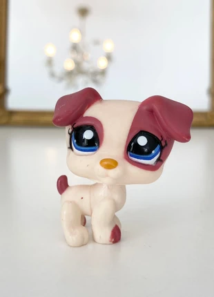 Littlest petshop chien jack Russell #1200, brand: Hasbro, condition: Very good, €2.00, €2.80 includes Buyer Protection Pro