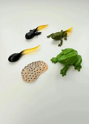 figurines cycle de vie croissance Grenouille pédagogie montessori, marca: Montessori, estado: Novo sem etiquetas, tamanho: 4 anos / 104 cm, €7.90, €9.00 inclui Proteção do Comprador Pro