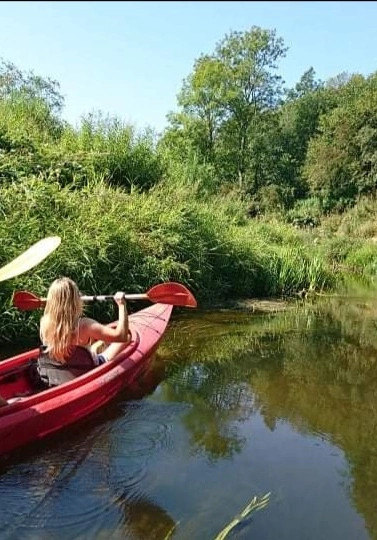 Profilna slika člana kristiekorn