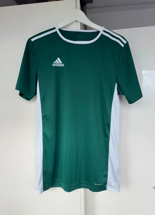 Groen Adidas sportshirt in maat S. Perfect voor sporten of casual wear!, marca: adidas, estado: Novo sem etiquetas, tamanho: S / 36 / 8, €6.00, €7.00 inclui Proteção do Comprador