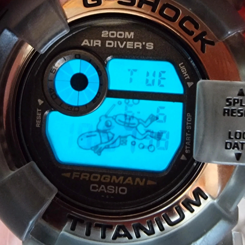 Casio G shock Frogman DW 8200 smoke grey Vinted