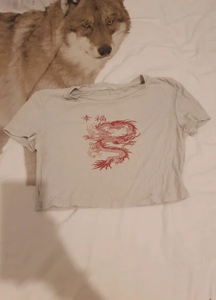 Haut blanc dragon rouge, merk: Shein, staat: Goed, maat: 12 jaar / 152 cm, € 1,50, € 2,28 inclusief Kopersbescherming