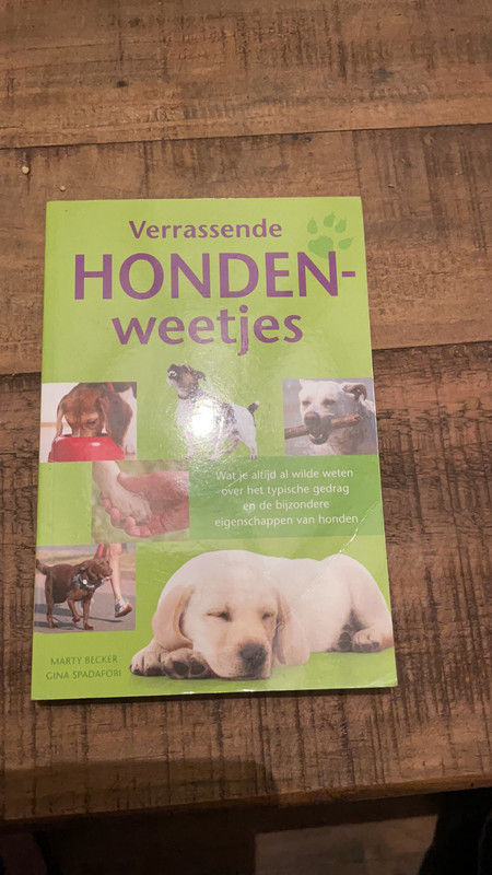 Weetjes Over Honden Vinted 5567