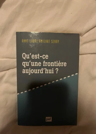 Qu’est-ce qu’une frontière aujourd’hui ?, condition: Very good, €5.00, €5.95 includes Buyer Protection