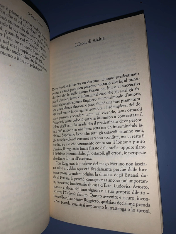 Orlando furioso di Ludovico Ariosto - Italo Calvino 3