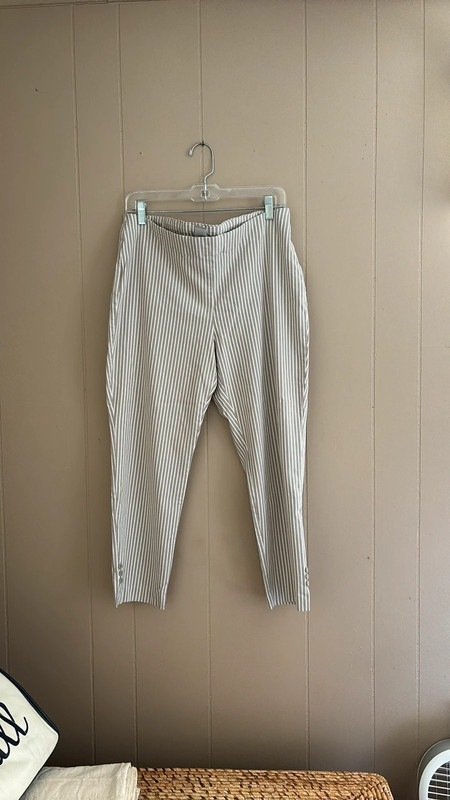 Chicos striped ankle pants 1