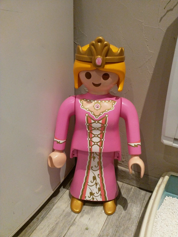 Playmobil géant princesse