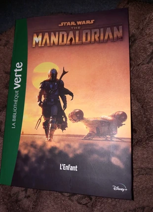 Livre Star Wars The Mandalorian. À saisir!, état: Bon état, 2,00 €, 2,80 € Protection acheteurs incluse