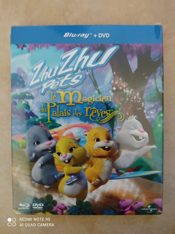 Zhu Zhu Pets, le magicien du palais des rêves en streaming