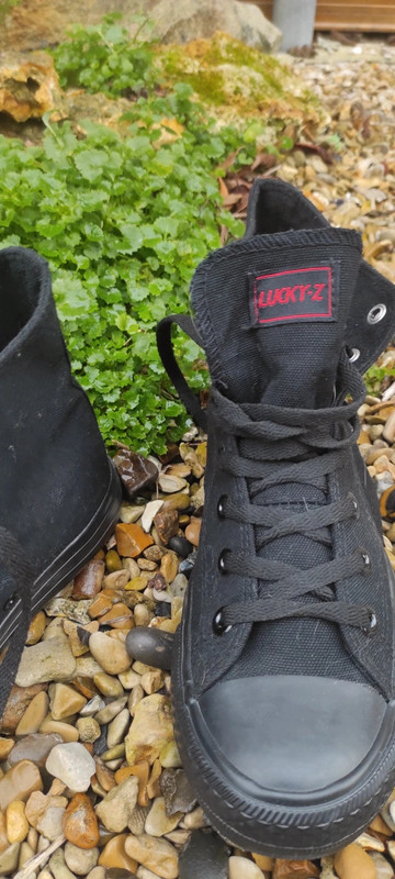 Chaussure style Pataugas montante en tissus. Vinted