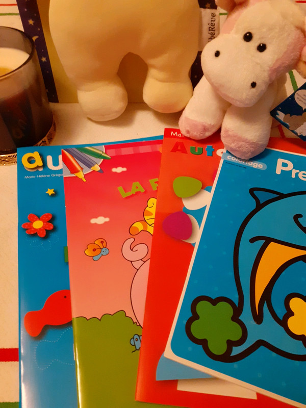 Lot Pour Bebe Doudou Lapin Doudou Agneau Neuf Et Trois Livres Premier Age Pour Coloriage Neufs Vinted