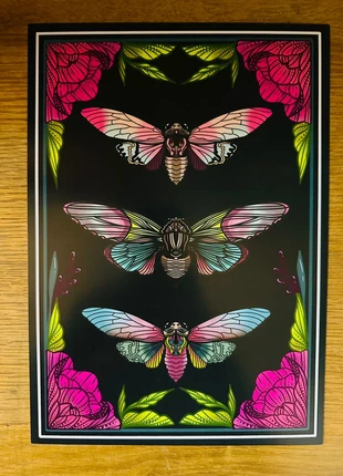 A4 art print, brand: Art, condition: New with tags, £5.00, £5.95 includes Buyer Protection