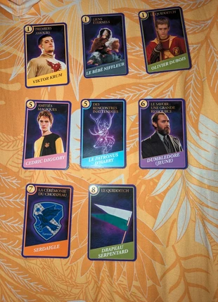 Harry Potter Moments magiques Les animaux fantastiques , marque: Harry Potter, état: Neuf sans étiquette, 2,50 €, 3,33 € Protection acheteurs incluse